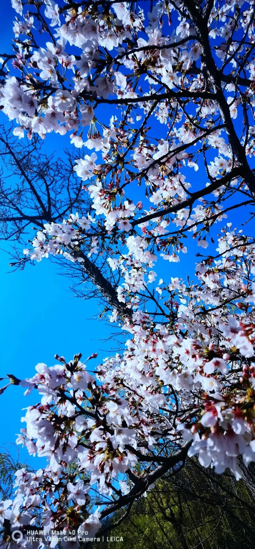 南京审计大学校园风景