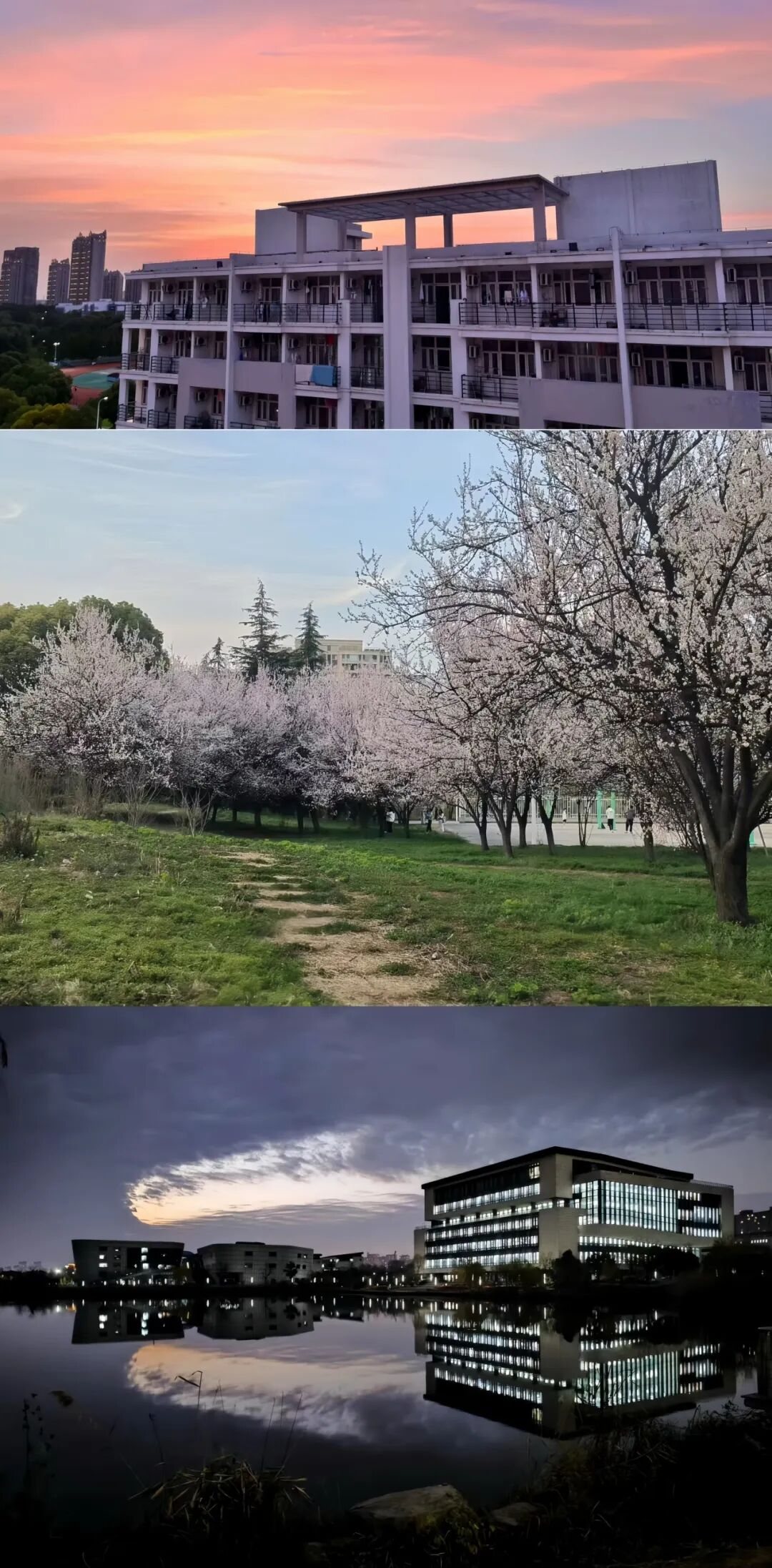 南京师范大学泰州学院校园风景