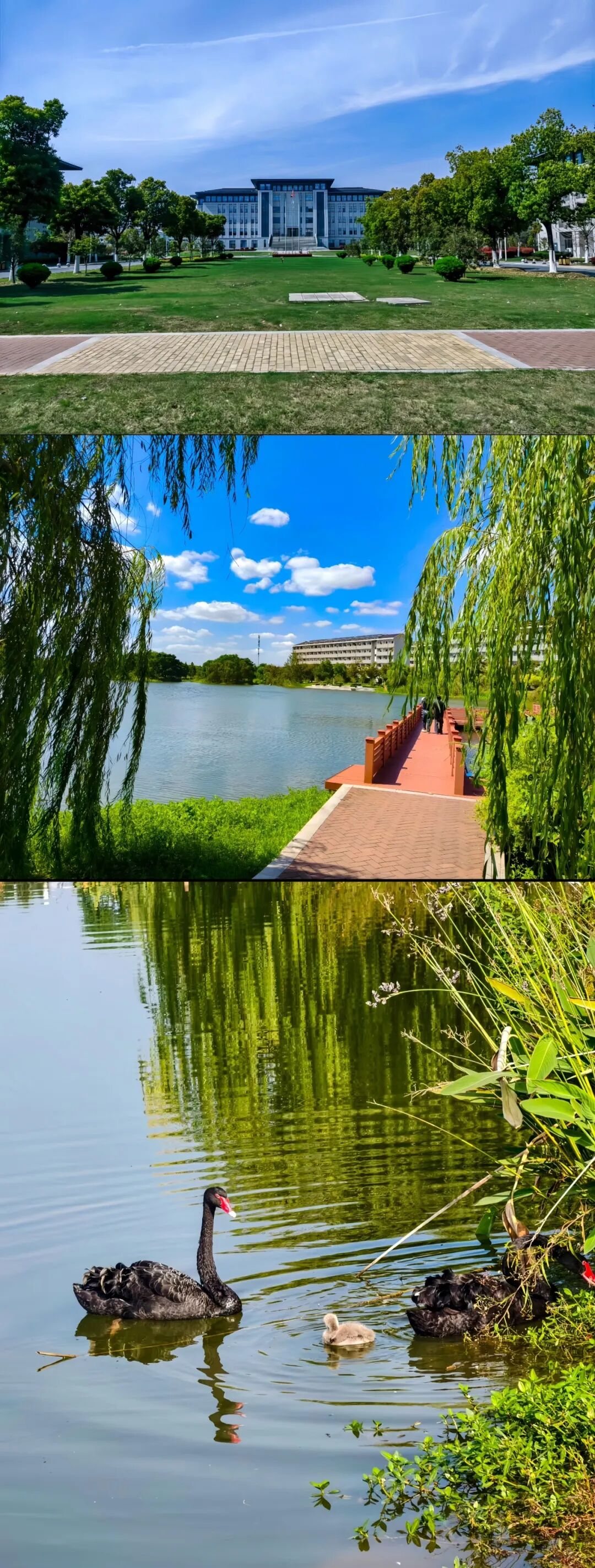 南京师范大学中北学院校园风景